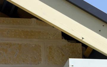 soffit repair Houton