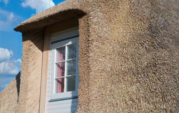 Houton thatch roof disadvantages