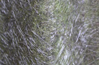 Houton fibreglass roof work