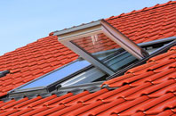 Houton roof window